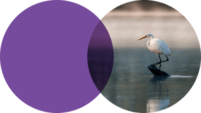 Lifepoint Health Careers