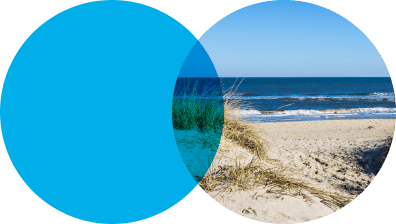 Lifepoint Health Careers