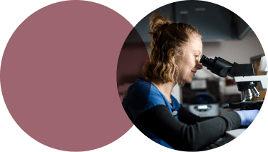 Lifepoint Health Careers